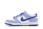 (GS) Nike Dunk Low Blueberry DZ4456-100