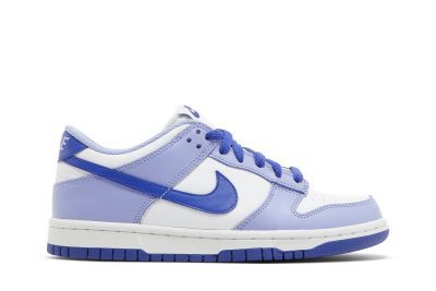 (GS) Nike Dunk Low Blueberry DZ4456-100