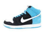 Nike Dunk High Pro SB Send Help 305050-014