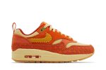 (W) Nike Air Max 1 ‘Somos Familia’ DZ5352-847